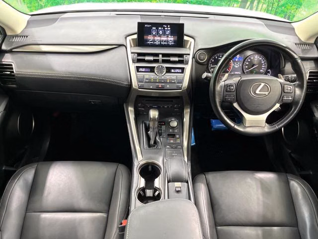 LEXUS NX300
