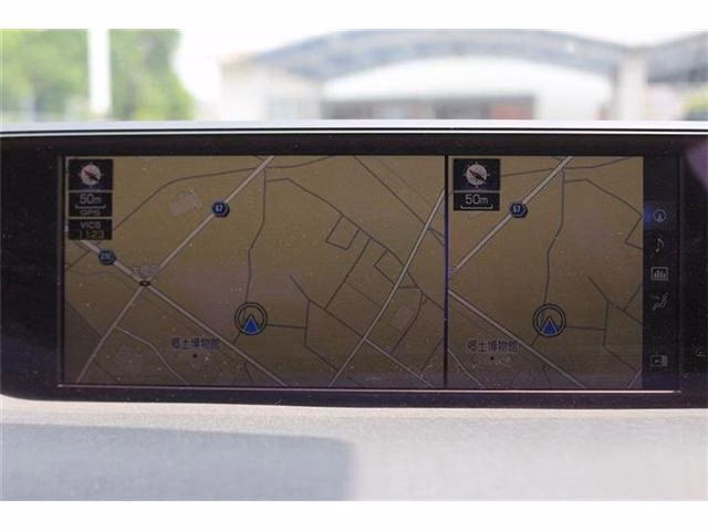 LEXUS UX250H