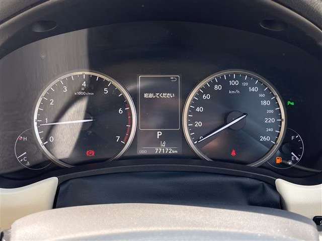 LEXUS NX300