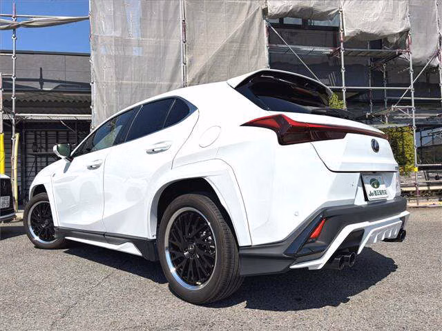LEXUS UX250H