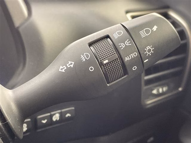 LEXUS NX300H