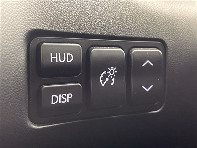 LEXUS NX300