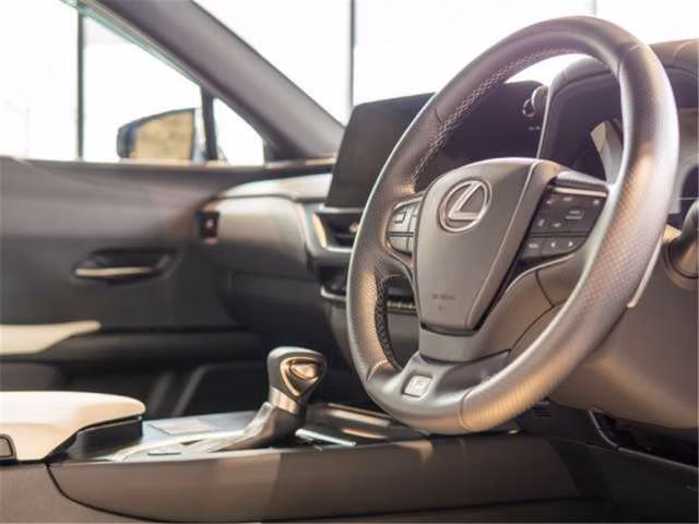 LEXUS UX250H