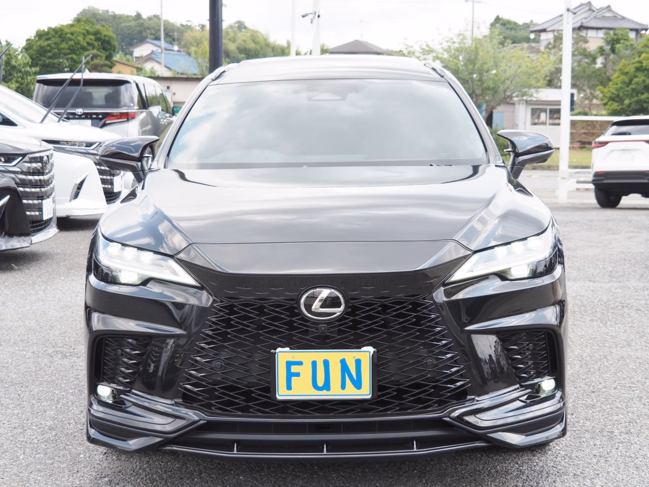 LEXUS RX500H