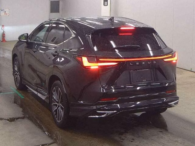 LEXUS NX250
