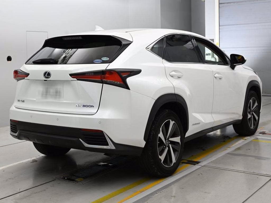 LEXUS NX300H