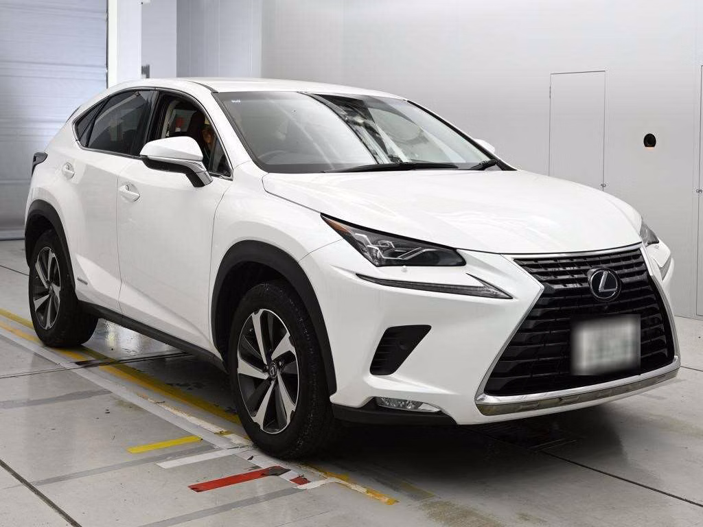 LEXUS NX300H