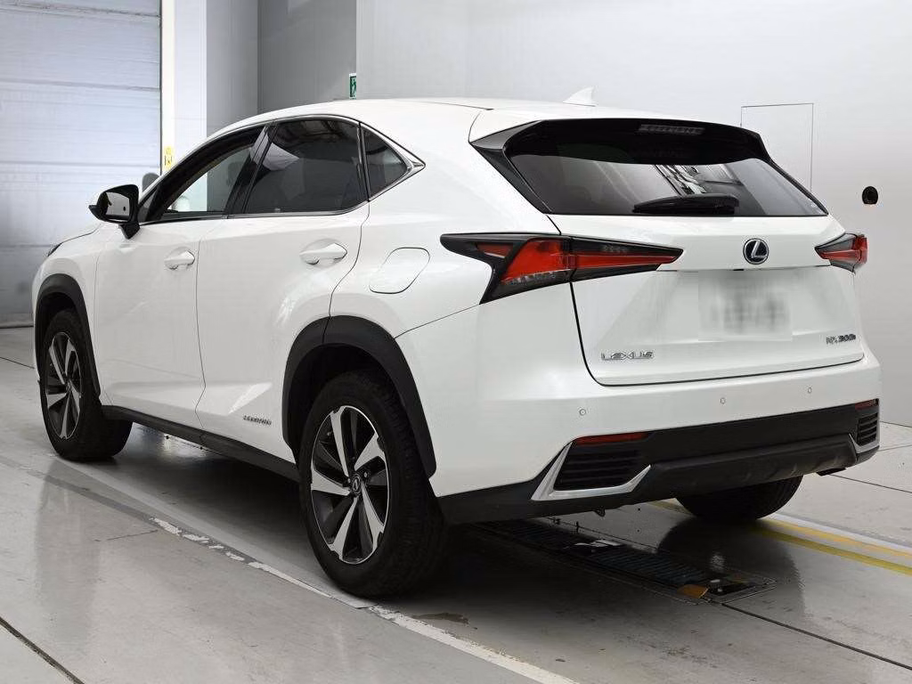 LEXUS NX300H