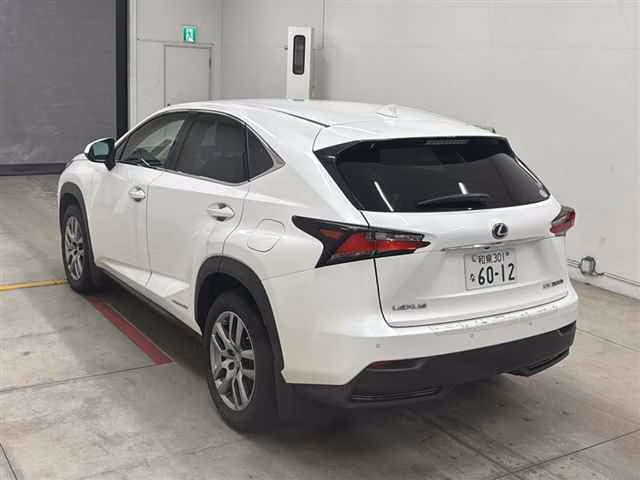 LEXUS NX300