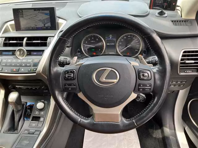 LEXUS NX300