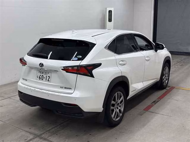 LEXUS NX300