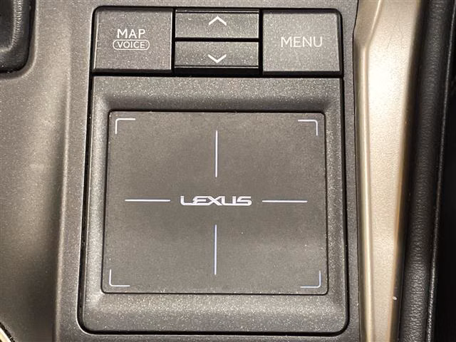LEXUS NX200T