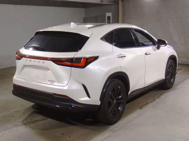 LEXUS NX250