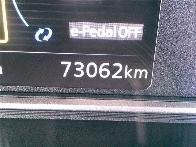 NISSAN LEAF