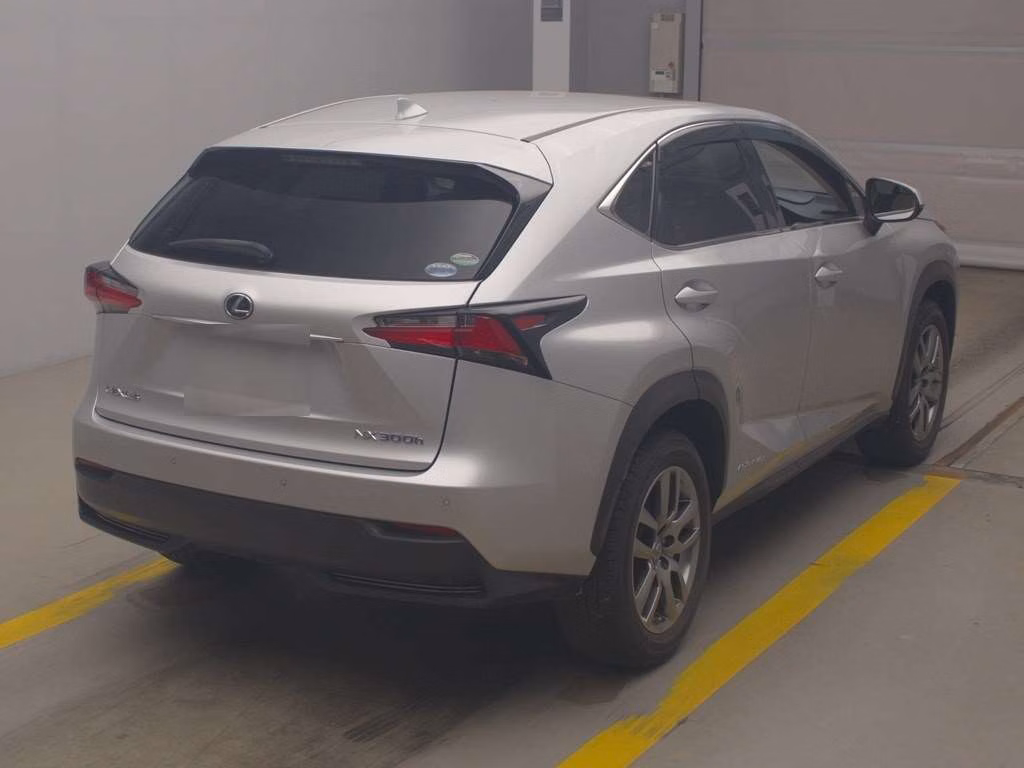 LEXUS NX300