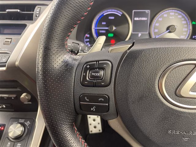 LEXUS NX300H