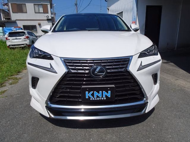 LEXUS NX300