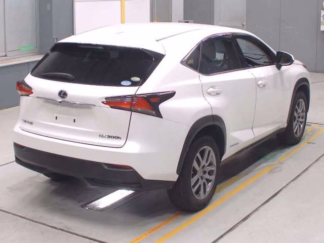 LEXUS NX300
