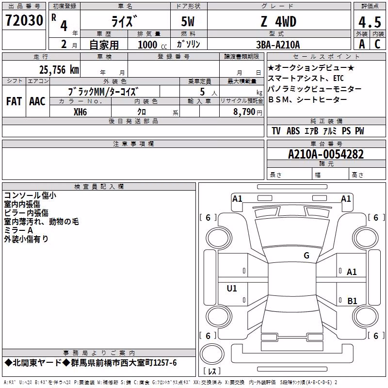 TOYOTA RAIZE