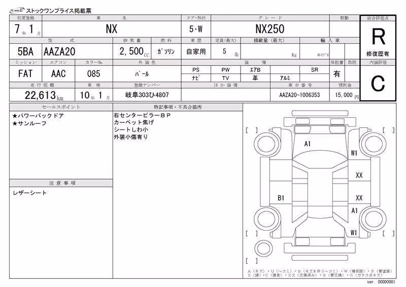 LEXUS NX250