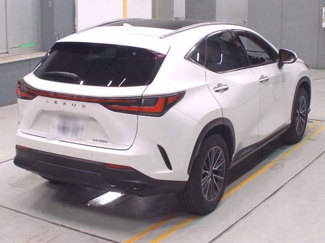 LEXUS NX250