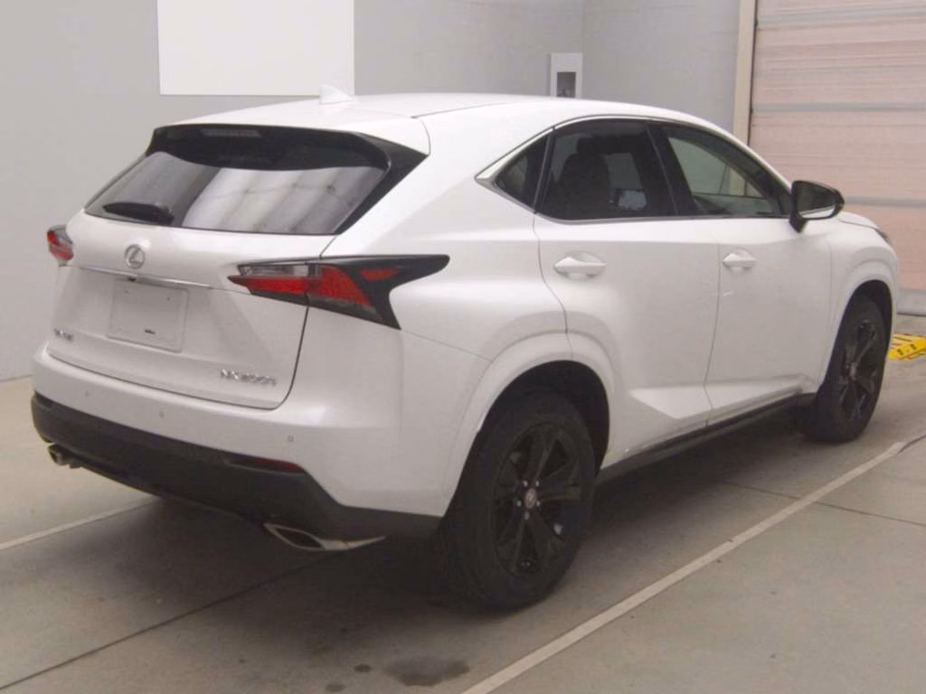LEXUS NX300