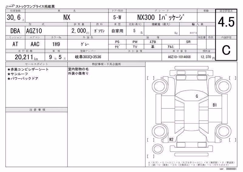 LEXUS NX300