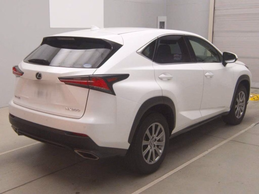 LEXUS NX300
