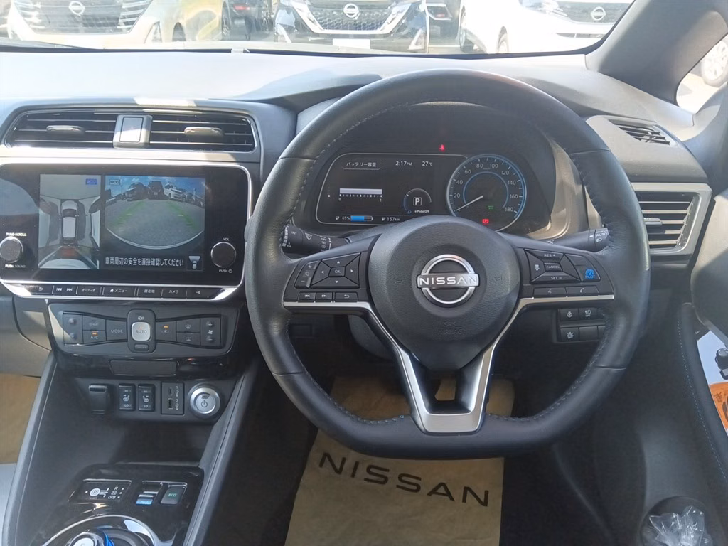 NISSAN LEAF