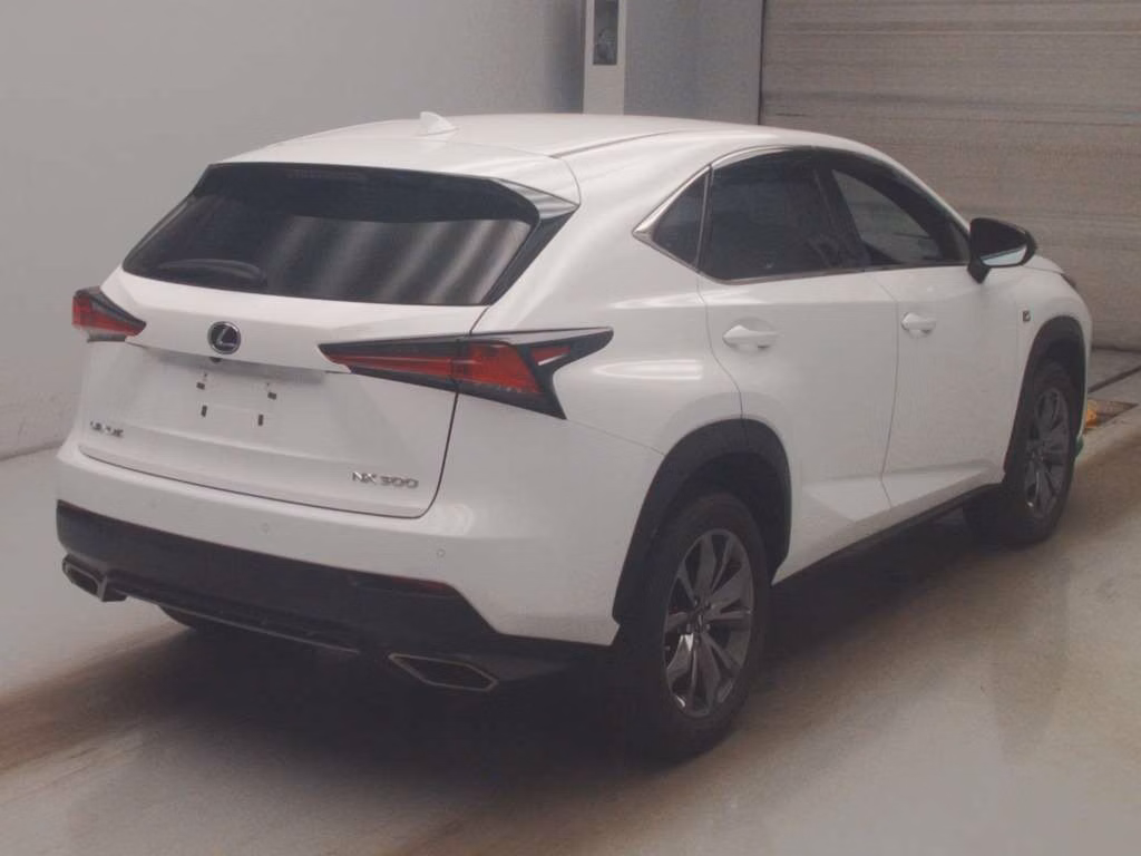 LEXUS NX300