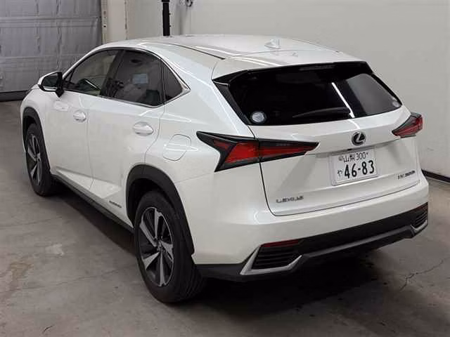 LEXUS NX300