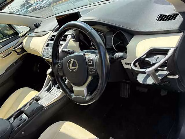 LEXUS NX300