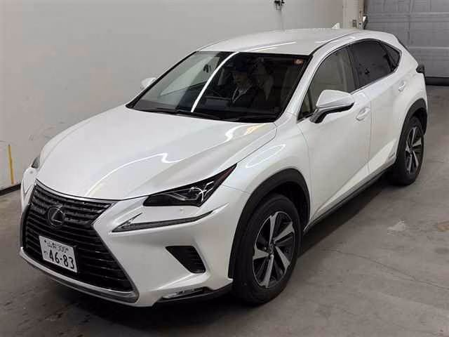 LEXUS NX300