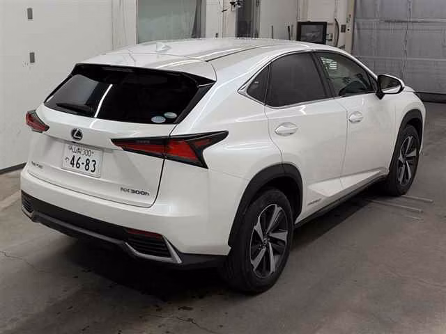 LEXUS NX300