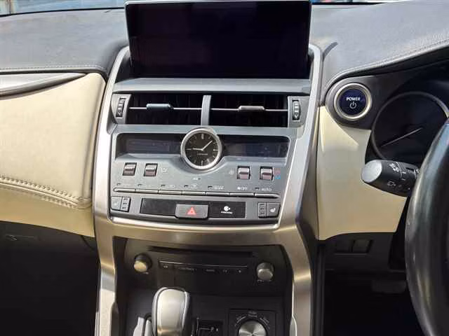LEXUS NX300