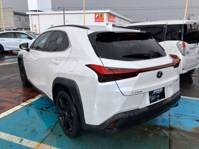 LEXUS UX250H