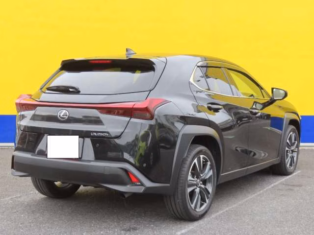 LEXUS UX250H