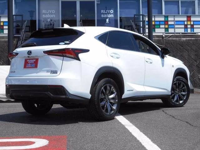 LEXUS NX300H