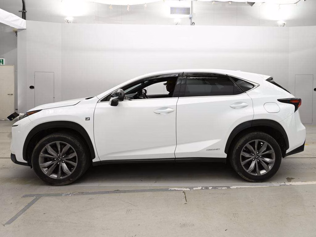 LEXUS NX300