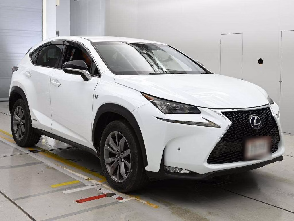 LEXUS NX300