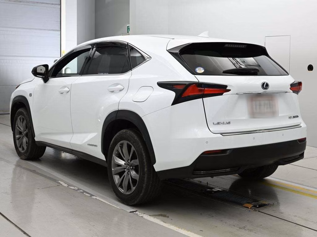 LEXUS NX300