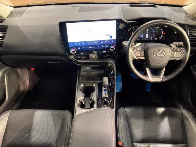 LEXUS NX250