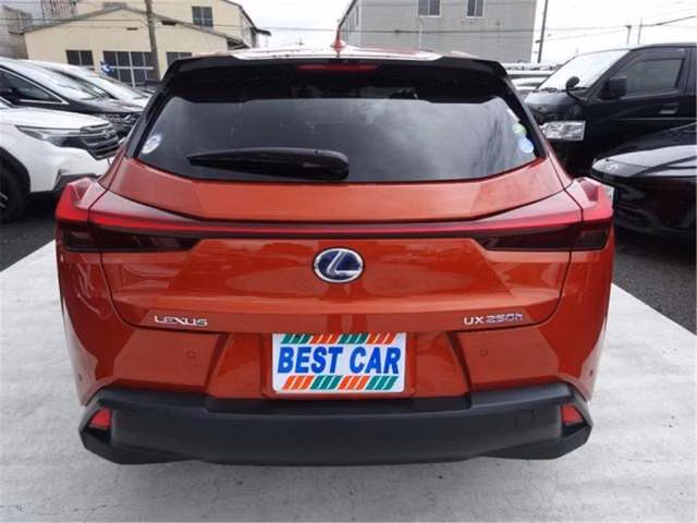 LEXUS UX250H