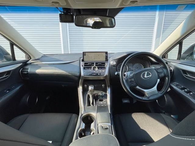 LEXUS NX300