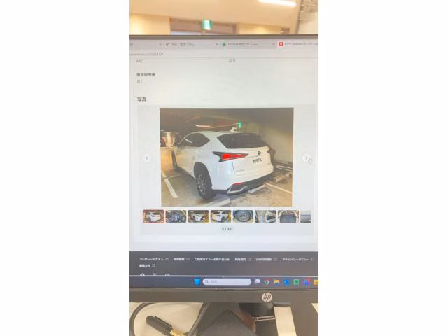 LEXUS NX300