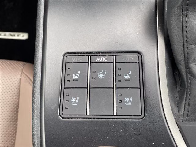 LEXUS UX250H