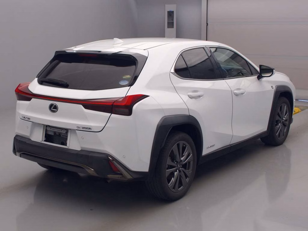 LEXUS UX250H