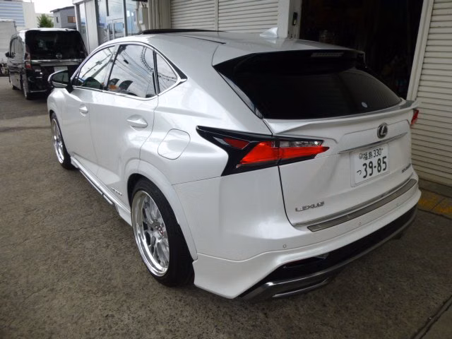 LEXUS NX300