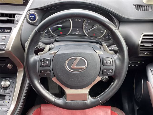 LEXUS NX300