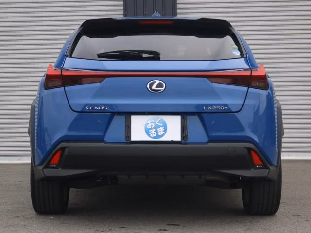 LEXUS UX250H